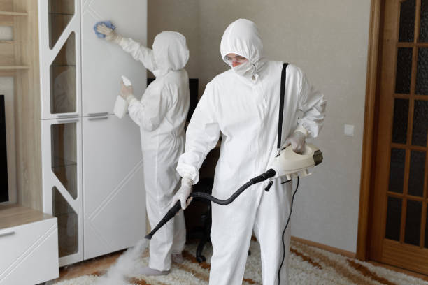 Why You Should Choose Our Mold Remediation Services in Woodbine, IA